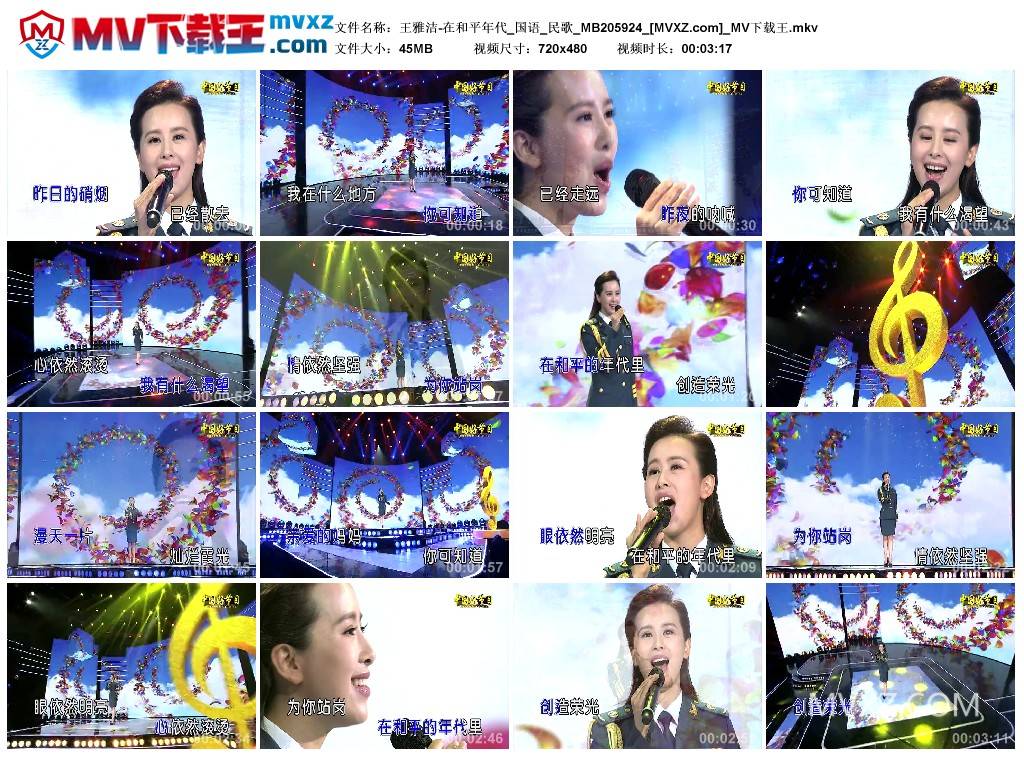 王雅洁-在和平年代_国语_民歌_MB205924